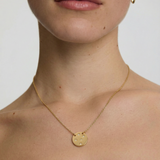 Gold necklace with a round pendant worn by a person on a plain background