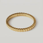 laia ring 360 video